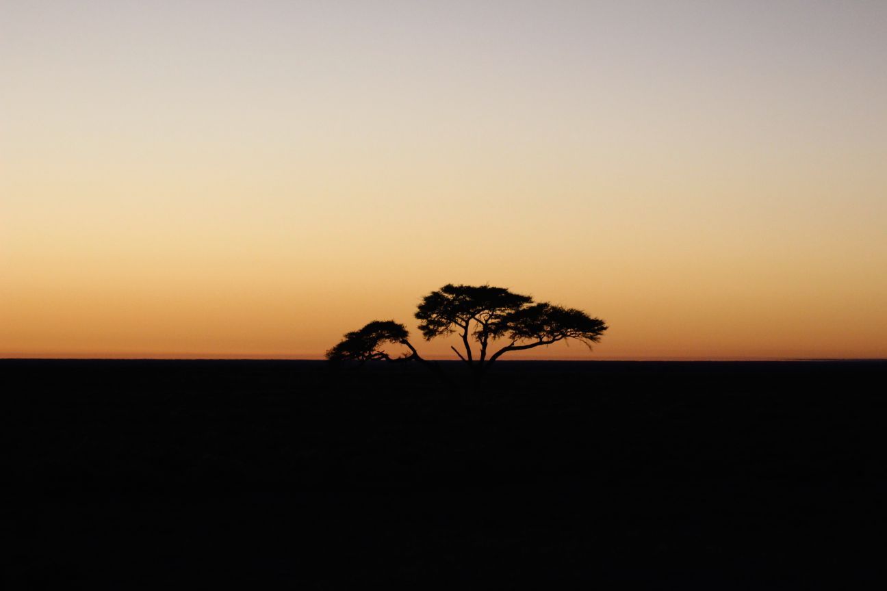 ol African sunrise